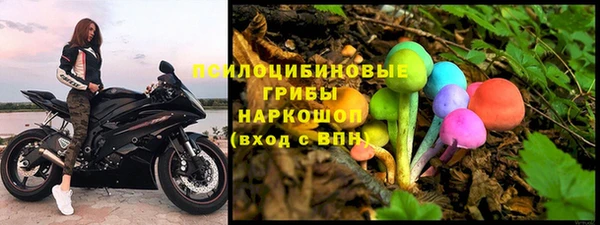 ГАЛЛЮЦИНОГЕННЫЕ ГРИБЫ Белокуриха