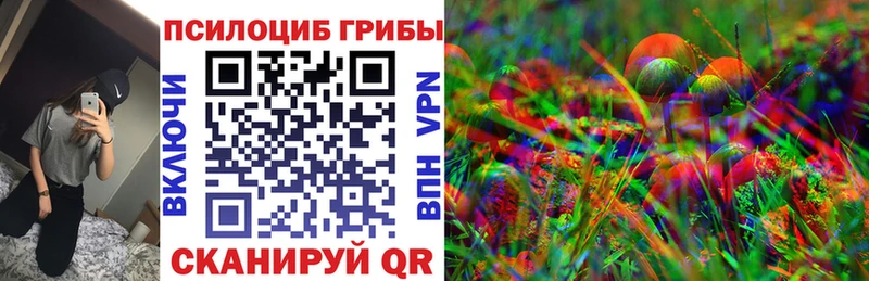 купить наркотик  Бокситогорск  blacksprut ONION  Псилоцибиновые грибы прущие грибы 
